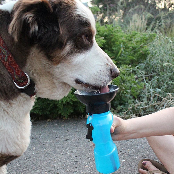 Dog Portable Drinking Water Bottle